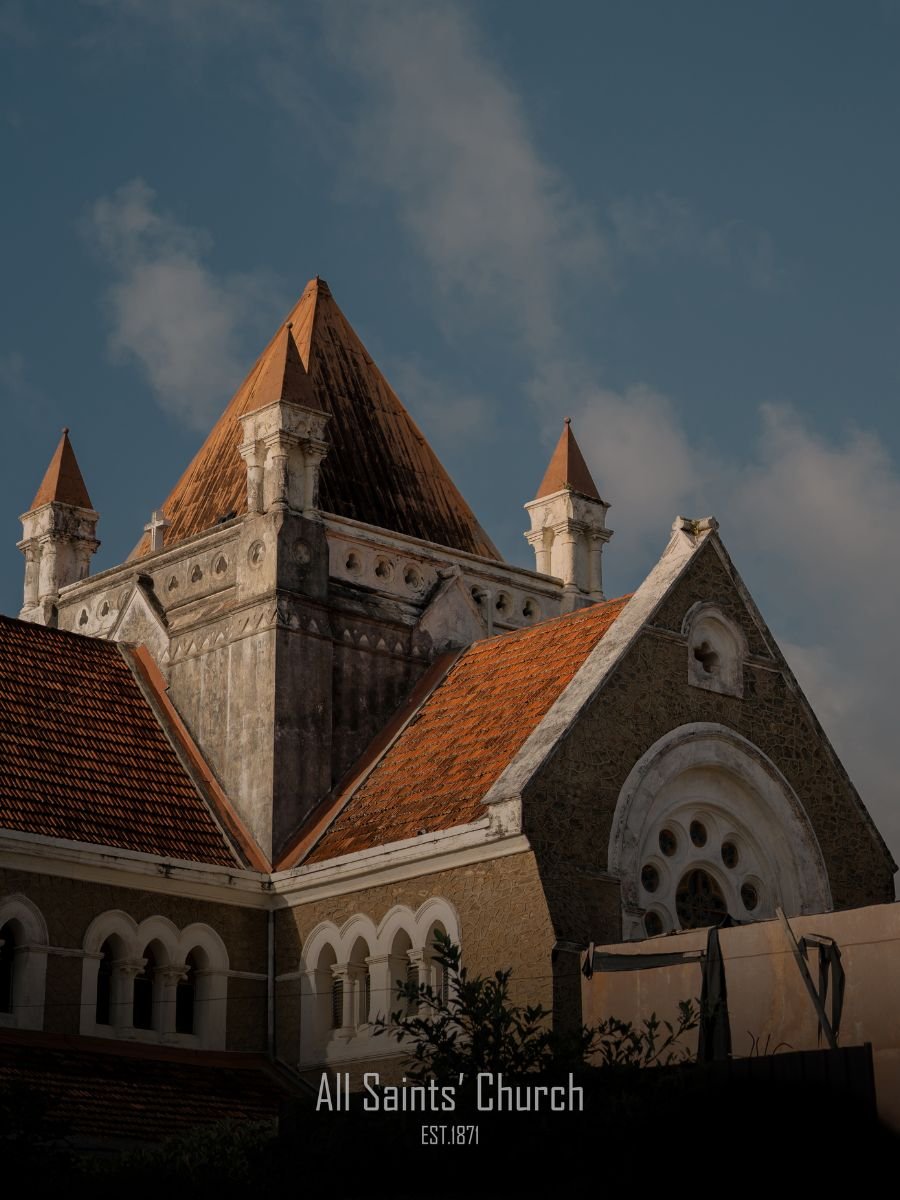 Untitled design (11)