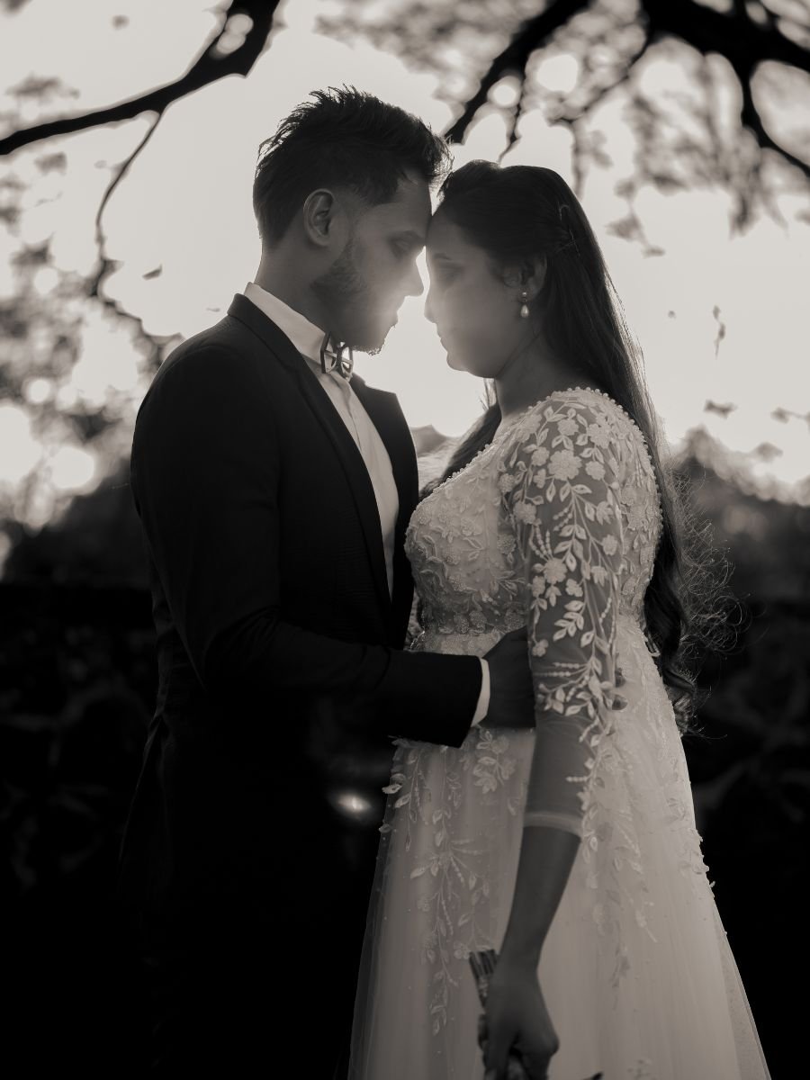 Untitled design (19)